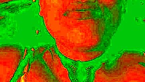 Bluee asks 'lick my pussy harder?' showing pleasure.