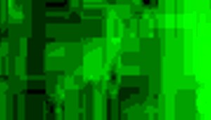 homemade bbw fucking 😏