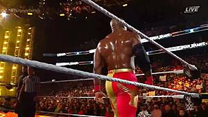 seth rollins, austin theory, or bobby lashley dominating at survivor series 2022?