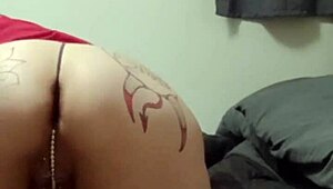 Big tits and pussy piercings stretched in amateur acts. Check videos! 😘