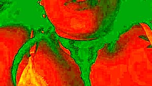 Bluee asks 'lick my pussy harder?' showing pleasure.