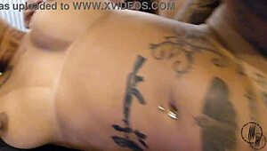 Subscribe to Tigrão Família for exclusive solo videos weekly