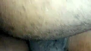 a pretinha taking it in the ass