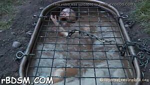 i'm so into t beauty's fuck holes, with blowjobs and toys