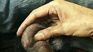 리시 바르드와자 여자들 아침밤 인사 비디오