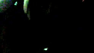 Sesa debelo črno kuro medtem ko fant gleda