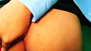 Sucubo-Cow Update 1 From Parafanhouse2