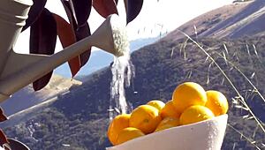 Jillian Janson Intensely Makes Herself Cum With Natural Tits In Nature.