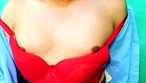 Sucubo-Cow Update 1 From Parafanhouse2