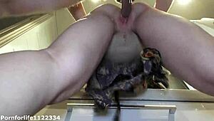 Neighbor ripped my panties and pounded me in toilet