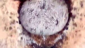 yuki, are you ready for kuro's big black cock?