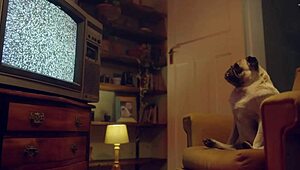 benfit monkey, we were recording but just couldn’t hold back from getting it on