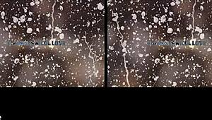 Euro lesbians piss and finger each other in this pov reality tease