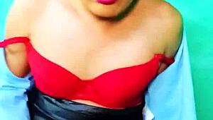 Sucubo-Cow Update 1 From Parafanhouse2