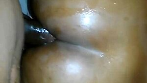 preta sentando com o rabo grande