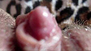 Big Clit Orgasm Closeup 1080