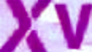 Stevie Moon Delivers Intense Blowjob and Foot Job