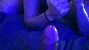 Homemade Scene With A Cute Young Chick And A Swallow