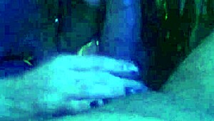 Homemade Scene With A Cute Young Chick And A Swallow