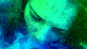 Homemade Scene With A Cute Young Chick And A Swallow