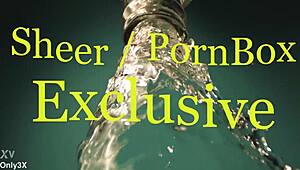 darcia lee’s big tits bounce wild in quick cowgirl ride