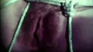 Hey, wanna see vintage pregnant lesbians from my secret 19th century diary?