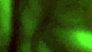 Stepbro Pounds Jade Janzten's Anal in Doggy. So Intense!