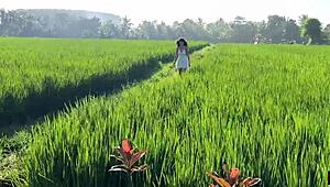 Cute rice picker chooses hot sex over cash for her hard work!