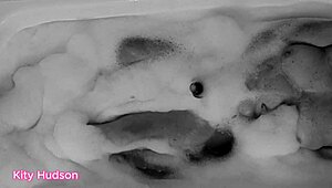 Hey, wanna watch Kity Hudson soak in the bath with her favorite toy?