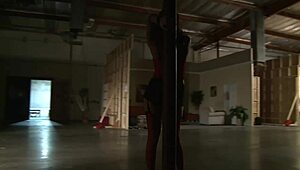 A Stripper Teases And Pleases A Guy Passionately