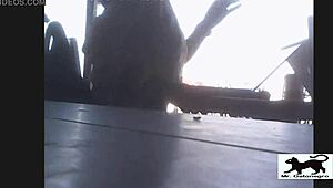 I spotted a stray cat on the street during my voyeur walk