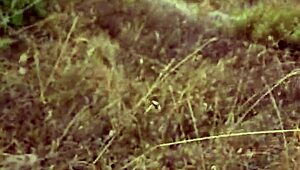 Petite Milf Couple Does Homemade Blowjob Outdoors In Nature During Cyprus Trip. She Sucks Me Wildly.