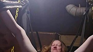 This Is My Verification Video