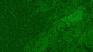 Crazy girl pees on public beach!