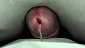 Amateur Rubs Cock And Cums Under Sheets In Homemade Video