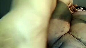 Nigarchrist Actualización 1364 - Petal 20250609 113832 - 09 Jun 2025