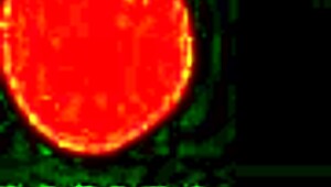 A guy's first experience with a Filipina escort