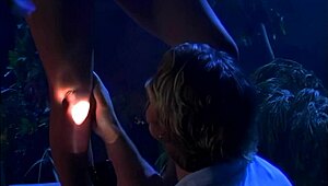 Night Encounter in Garden