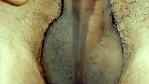 Curvy sissy with small penis flaunts feminine curves