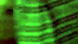 Biała laska z opaską ssie kutasa w kajdankach