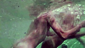 The Wonderful World Of Vintage Pornography Retro Orgy