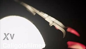 Caligolafilmes - POV Project 62 Loirinha Charmille Tries FISTING And ANAL GAPE