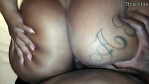 Shy Brazilian BBW Overcomes Embarrassment in Exotic Encounter.