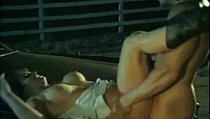 Colt Steele Night Train Sc5