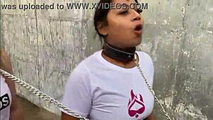 Brazilian Young 18+ Girls on Leashes in Sao Paulo Street Display