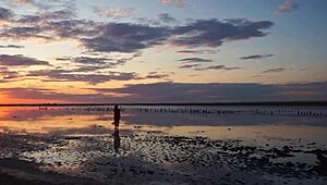 Walk On Red Sunset Of Elton Salt Lake?