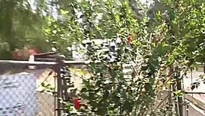 Chatting about Threesome with Obsession Kitten and L T