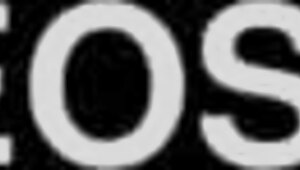 Japanese Women's Aroma Massage! What a Treat!