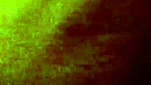 Girlfriend's Wet Pussy Fucked by Friend's Monster Cock Doggy Style