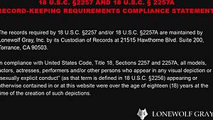 Amateur Japanese Girl Exposes Embarrassing Behavior In Heyzo Pov Collection